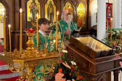 troiczkaya-vsenoshhnaya-7