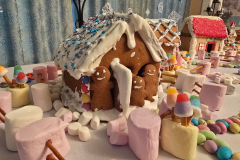 domiki-24