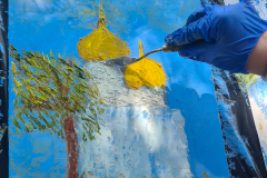 lpd-27-03-24
