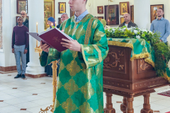 prestol-12