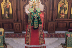 troitsa-vsenoshhnaya-14