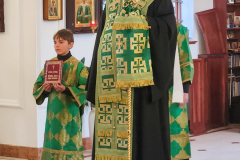 troiczkaya-vsenoshhnaya-6