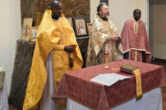 zambiya-01-26-11