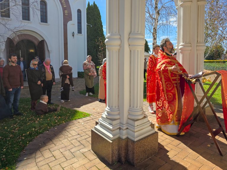 Празднование Дня Победы в ЮАР